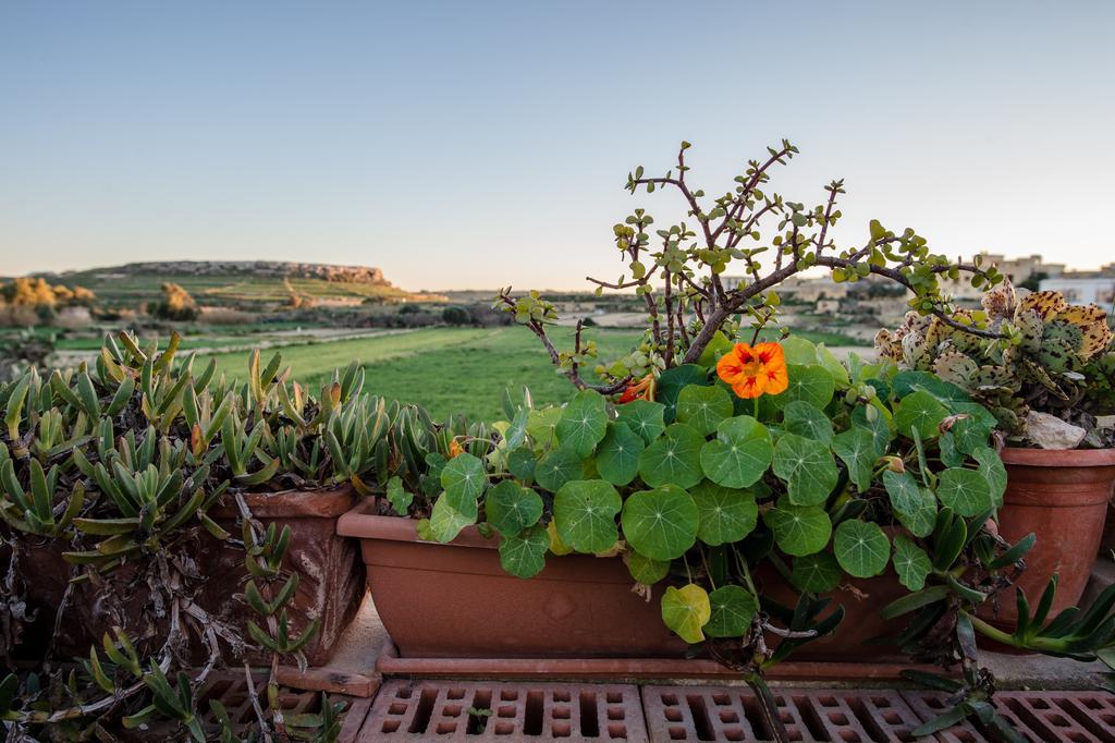 Villayana Holiday Home San Lawrenz Oda fotoğraf